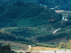 -广州市流溪河国家森林公园