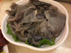 -朱氏胖子烂火锅(洪崖洞店)