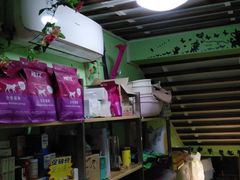 -十年猫舍·猫咪专门店(普陀店)