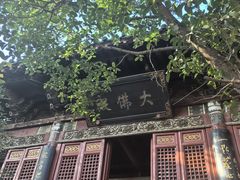 -洛阳白马寺