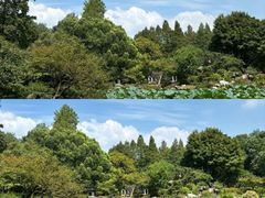 -杭州植物园