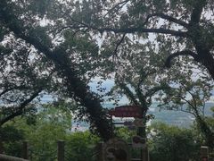 -虞山风景区