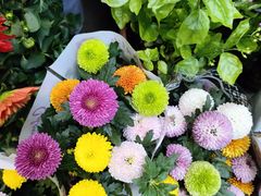 -循礼门鲜花花市(武汉循礼门店)