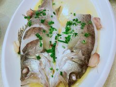 -南湖船菜大酒店