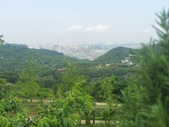 -正宗火盆自助烧烤·烤全羊·柴火鸡(龙泉山店)