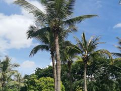 -茂名熹龙国际大酒店(人民广场高铁站店)