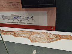 -大连自然博物馆