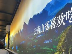 -花菇朵·云山雀 ll 野生菌火锅·精品云南菜(万柳店)