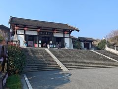 -大唐贡茶院