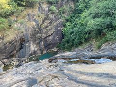 -广州白江湖森林公园