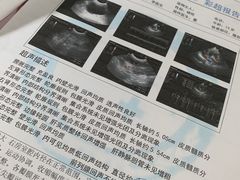 -天时宠物医院24小时疑难病例会诊中心(顾乡大街总院)