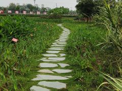 -那考河湿地公园