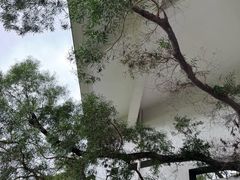 -福道