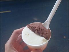 -Dip in Gelato(富民路店)
