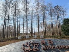-东平国家森林公园
