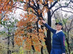 -阳台山自然风景区