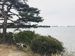 -松岛