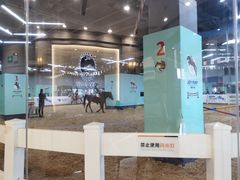 -骑乐马术(广州奥体优托邦中心)