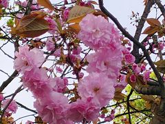 -东钱湖旅游度假区