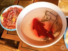 锦鲤鸭血-蜀江龙火锅(339店)
