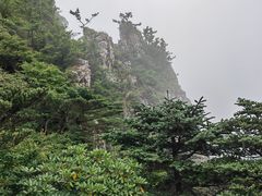 -牛背梁国家森林公园