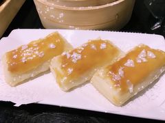 -高第街56号融合餐厅(振华五星百货店)