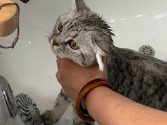 -宠颐生中康贝怡动物医院