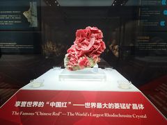 -湖南省地质博物馆