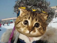 -蓟县盘山滑雪场