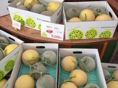 -富田农场