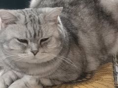 -平行世界·猫咖(首经贸店)