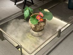 -单家老院·院子里的青岛菜(沙子口店)