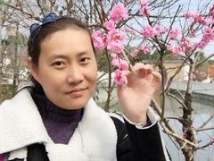 -芜湖方特东方神画