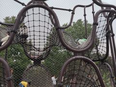 -枫香湖儿童公园