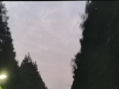 -黄海国家森林公园