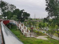 -王借岗森林公园