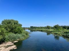 -马家湾湿地公园
