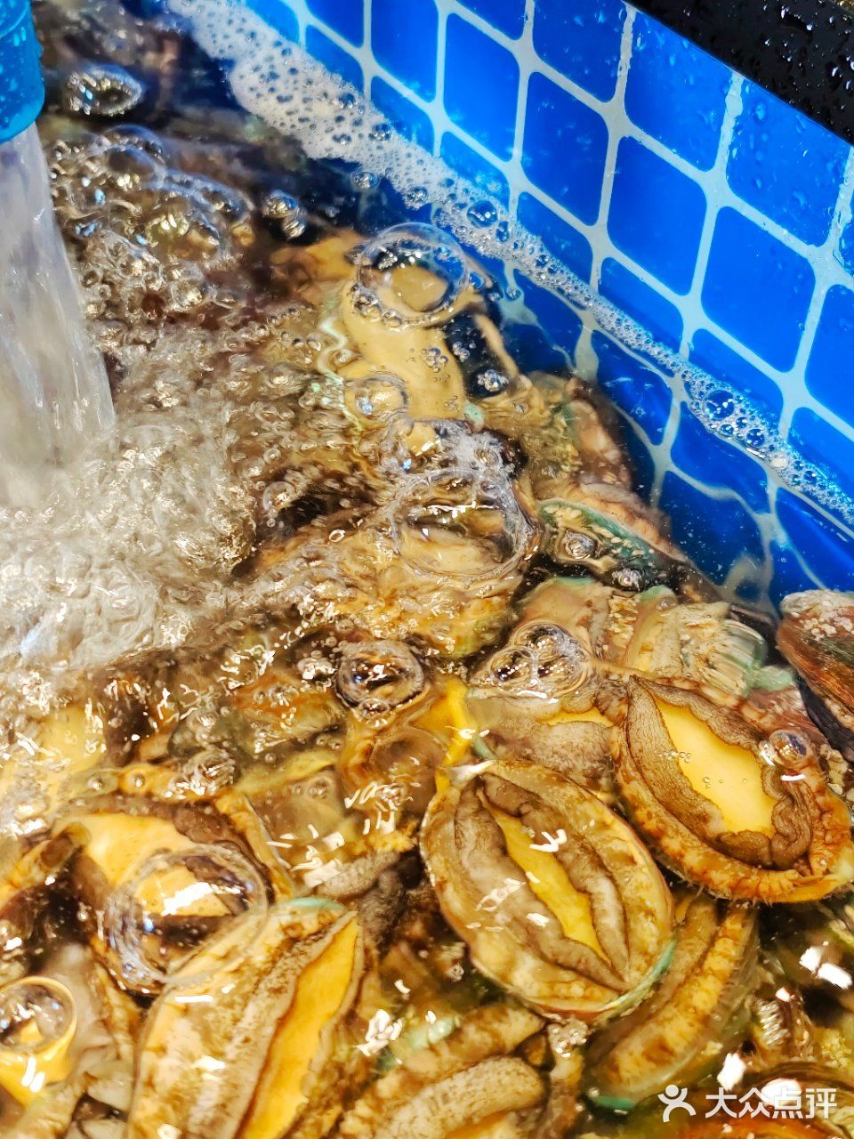 重庆这家海鲜自助，建议你松了裤腰带再去吃