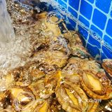 重庆这家海鲜自助，建议你松了裤腰带再去吃