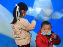 -泉城欧乐堡海洋极地世界