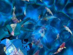-合肥海洋世界