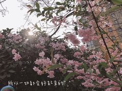 -灞河西岸滨河公园