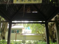 景点-广东茂名森林公园