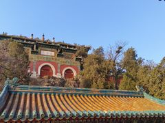 -颐和园