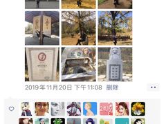-千年银杏谷文化旅游区