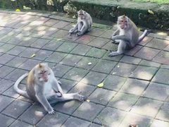 -乌鲁瓦图寺
