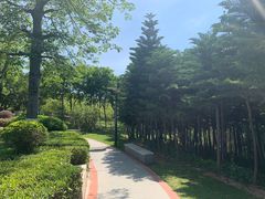 -五通灯塔公园