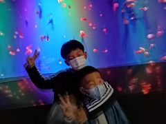 -成都浩海立方海洋公园