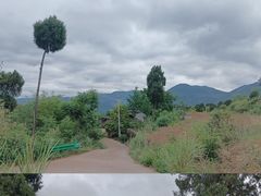 -舒家湾天主教堂