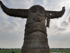 -嘉北郊野公园